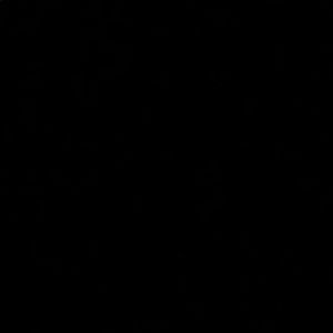 Meet your Posher, Lizeth